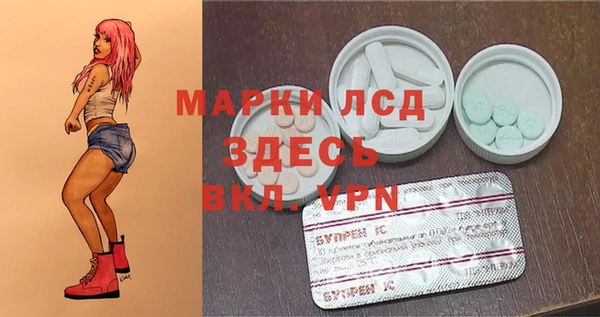 мдпв Богданович