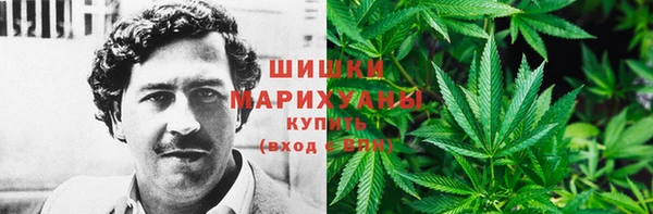 МДПВ Богородицк