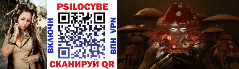 Галлюциногенные грибы Psilocybine cubensis  Великие Луки 